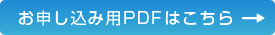 \PDF͂